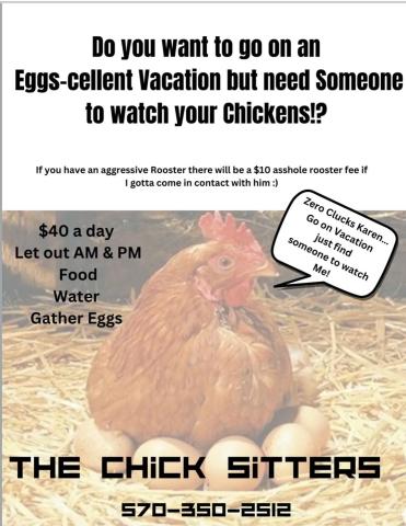 Chick Sitters