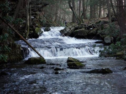 cranberry creek