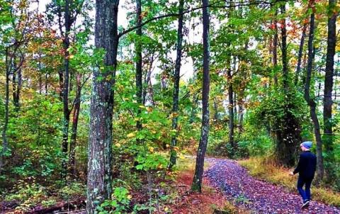 Mount Airy Red Rock Trail