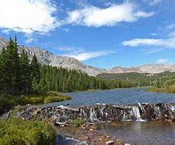 Browns Lake Trails