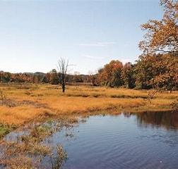 cherry valley National refuge