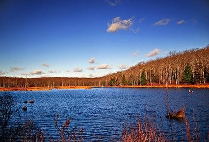 Delaware state forest