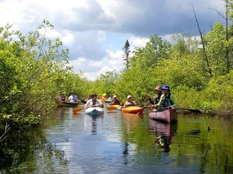 Kettle creek