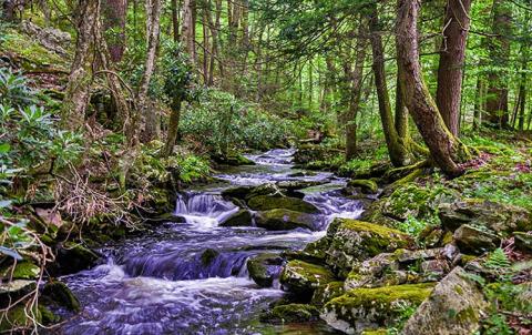 Northstein preserve