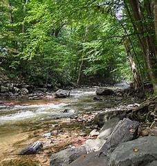 pocono creek nature preserve