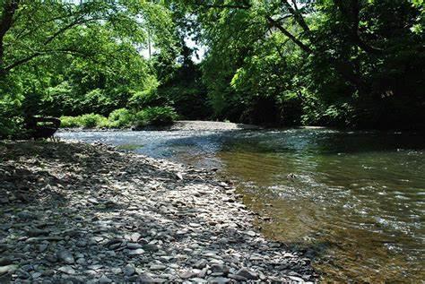 Rotary Creek Park