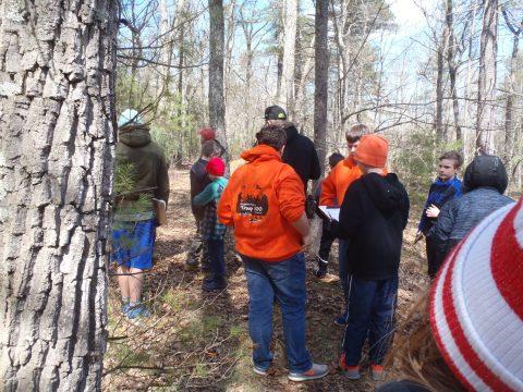 Scouts BSA Badge Festival