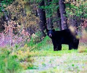 Hauser Nature Preserve