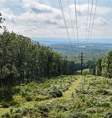 Jonas Mountain Nature Preserve