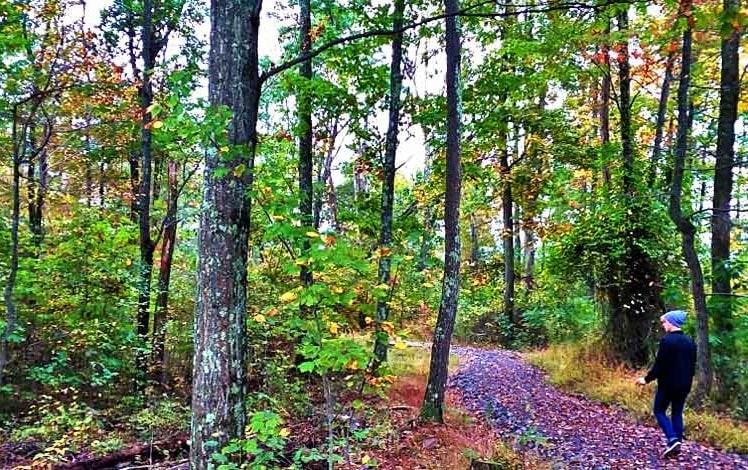 Mount Airy Red Rock Trail