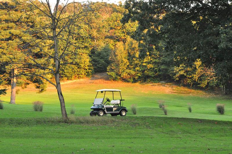 Terra Greens Golf Course 