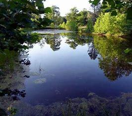 ForEvergreen Nature preserve