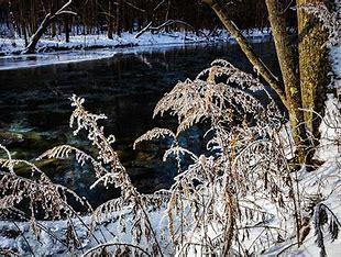 McMichaels Creek Conservation Reserve