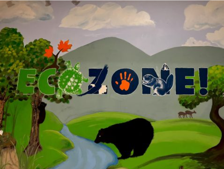 Ecozone Discovery Room