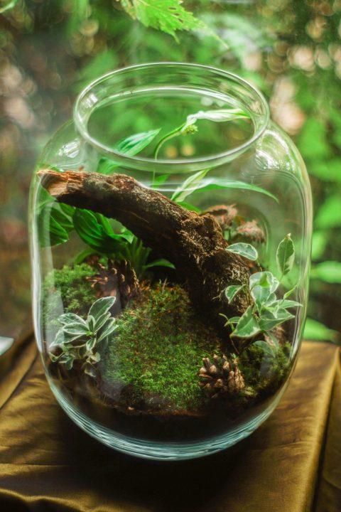 Terrarium Workshop