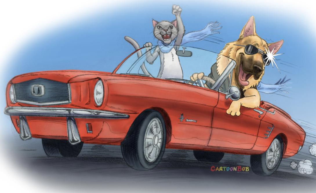 car show